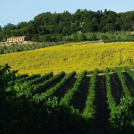 Bio Agriturismo Il Torrione Saturnia Dış mekan fotoğraf