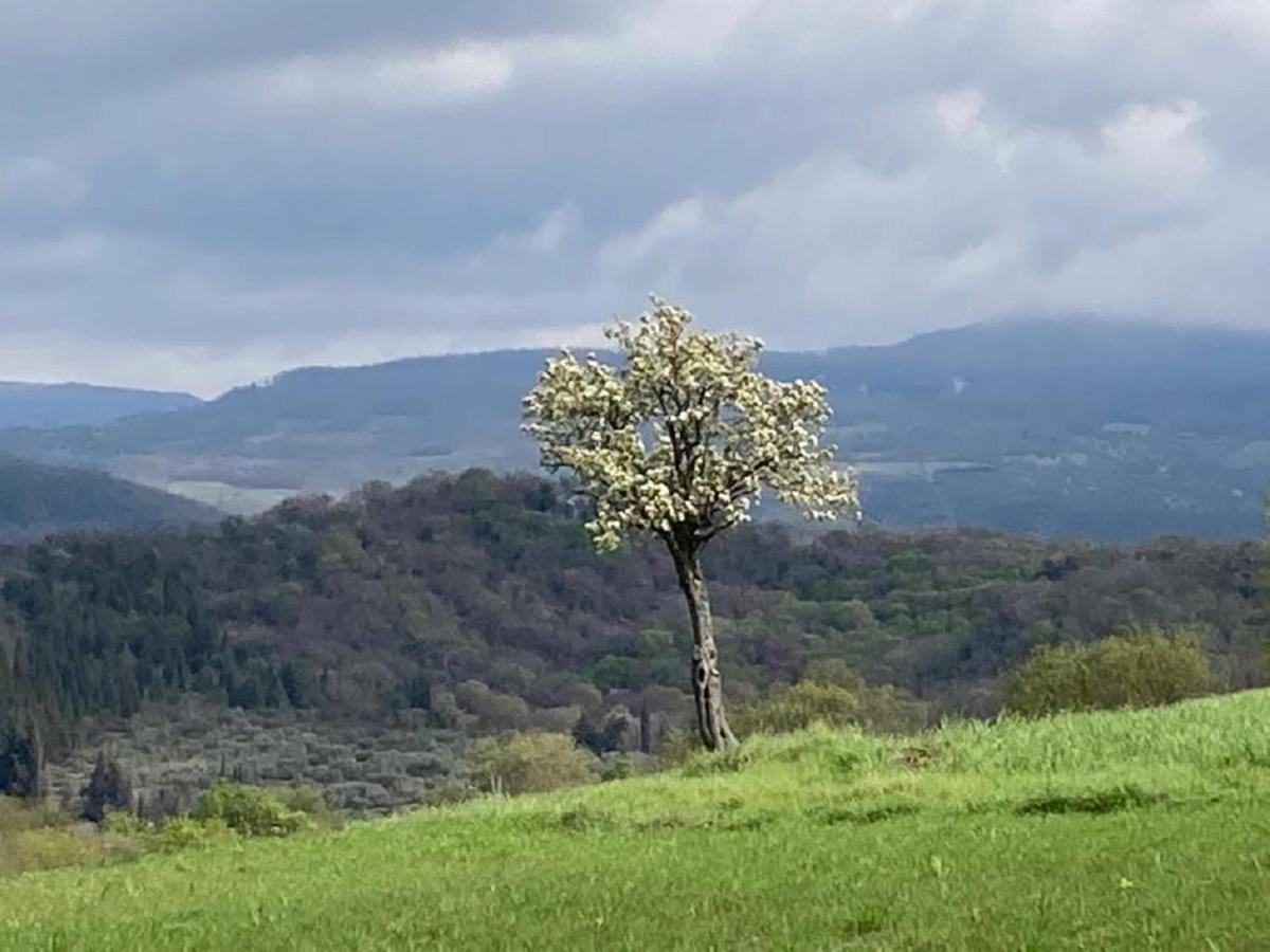 Bio Agriturismo Il Torrione Saturnia Dış mekan fotoğraf