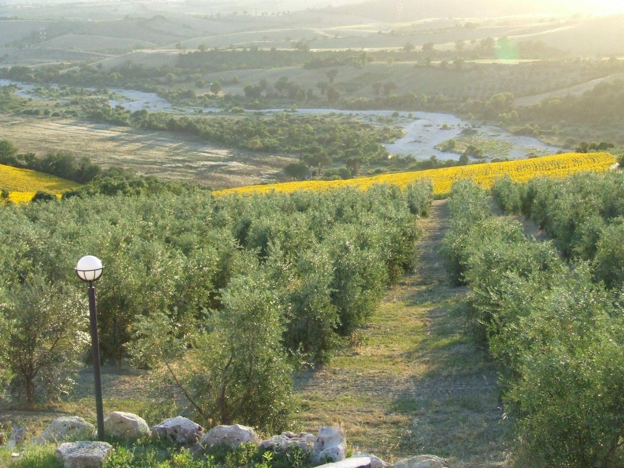 Bio Agriturismo Il Torrione Saturnia Dış mekan fotoğraf