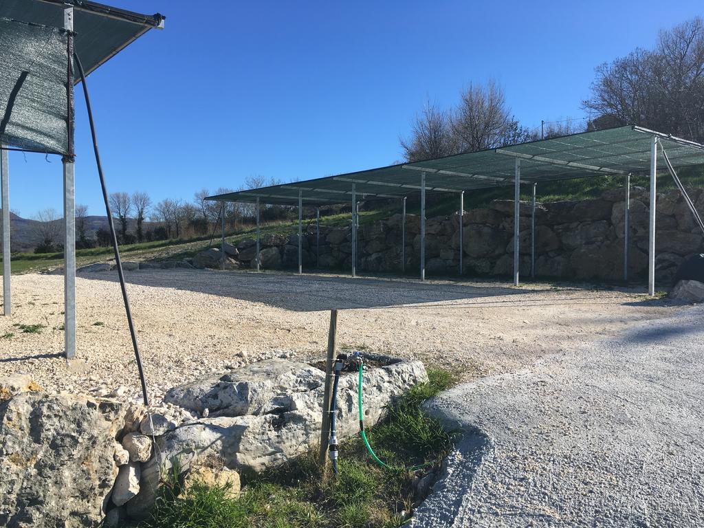 Bio Agriturismo Il Torrione Saturnia Dış mekan fotoğraf